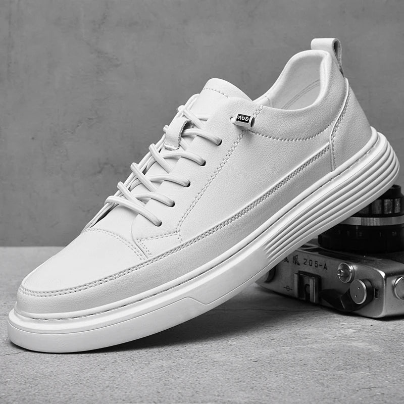 Aristo Oxford Shoes
