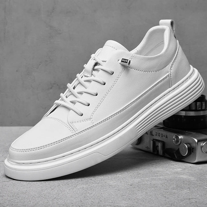 Aristo Oxford Shoes