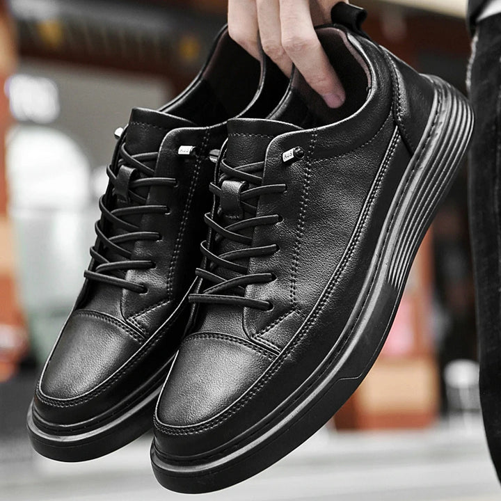 Aristo Oxford Shoes