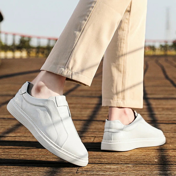 Alvio Genuine Leather Shoes